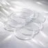 25 circulos en acrilico transparente 3 mm - 8 cm (C75745)